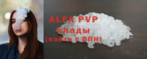сатива Балахна