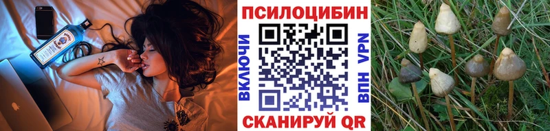 Галлюциногенные грибы Psilocybine cubensis  где купить наркоту  Старая Купавна 