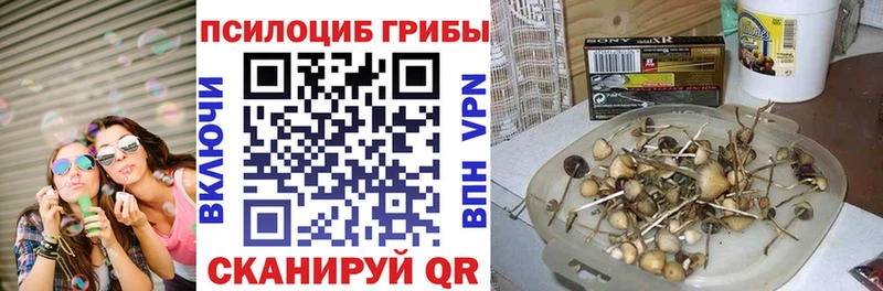Псилоцибиновые грибы Psilocybine cubensis Старая Купавна